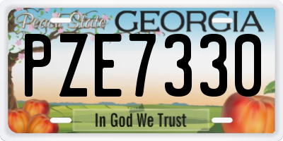 GA license plate PZE7330