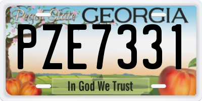 GA license plate PZE7331