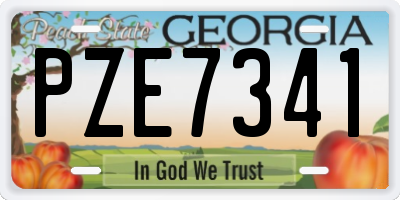 GA license plate PZE7341