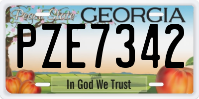 GA license plate PZE7342