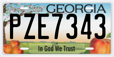 GA license plate PZE7343