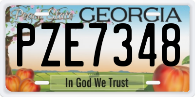 GA license plate PZE7348