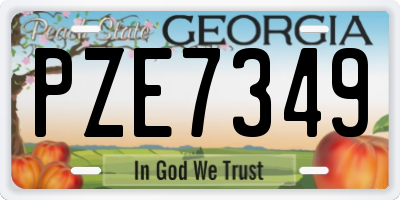 GA license plate PZE7349