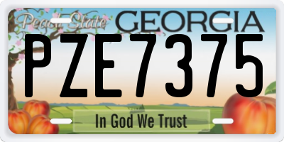 GA license plate PZE7375