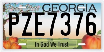 GA license plate PZE7376