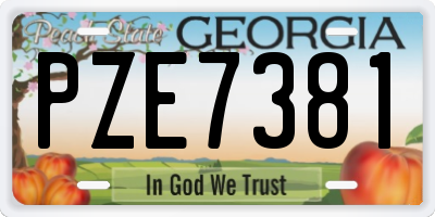 GA license plate PZE7381