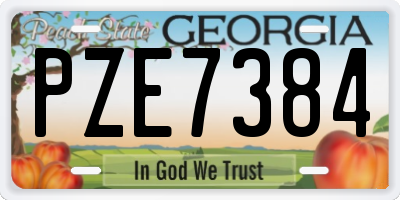 GA license plate PZE7384