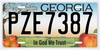 GA license plate PZE7387