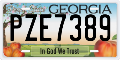 GA license plate PZE7389