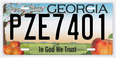 GA license plate PZE7401