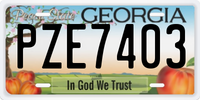 GA license plate PZE7403