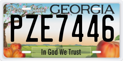 GA license plate PZE7446