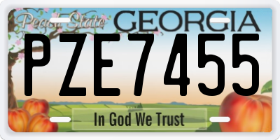 GA license plate PZE7455