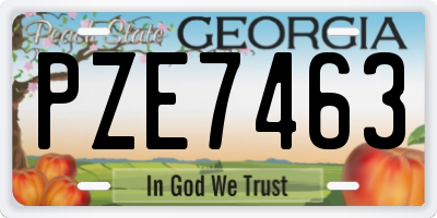 GA license plate PZE7463