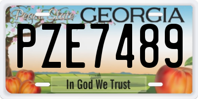 GA license plate PZE7489