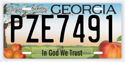 GA license plate PZE7491