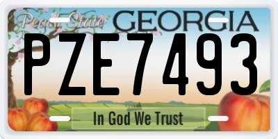 GA license plate PZE7493