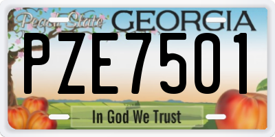 GA license plate PZE7501