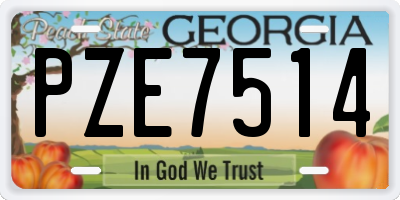 GA license plate PZE7514