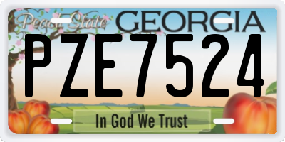 GA license plate PZE7524