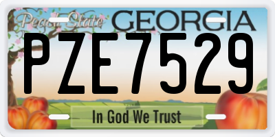 GA license plate PZE7529