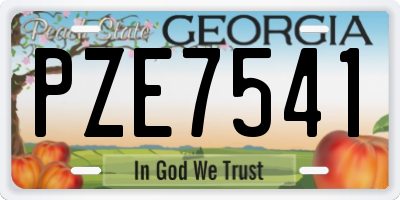 GA license plate PZE7541