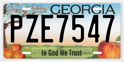GA license plate PZE7547