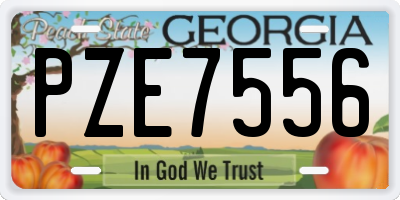 GA license plate PZE7556