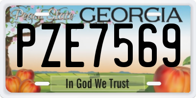 GA license plate PZE7569