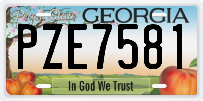 GA license plate PZE7581