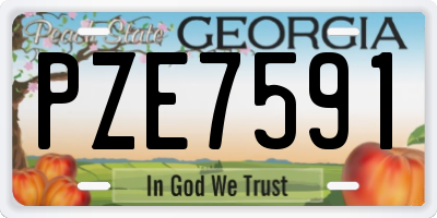 GA license plate PZE7591