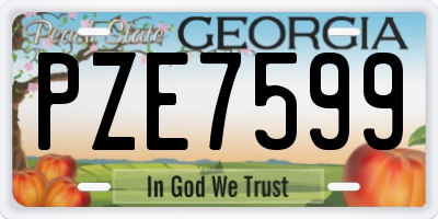 GA license plate PZE7599