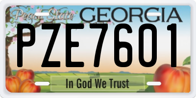 GA license plate PZE7601
