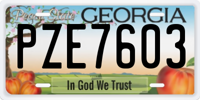 GA license plate PZE7603