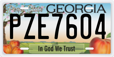 GA license plate PZE7604