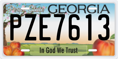 GA license plate PZE7613