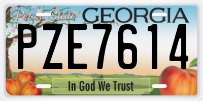 GA license plate PZE7614