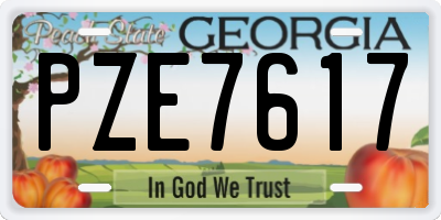 GA license plate PZE7617