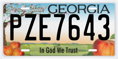 GA license plate PZE7643