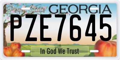 GA license plate PZE7645