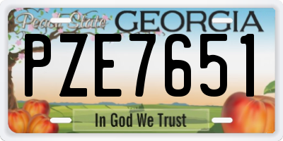 GA license plate PZE7651