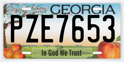 GA license plate PZE7653