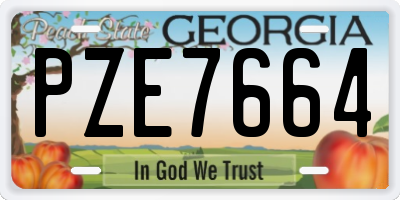 GA license plate PZE7664