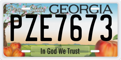 GA license plate PZE7673