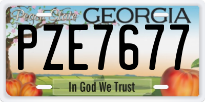 GA license plate PZE7677