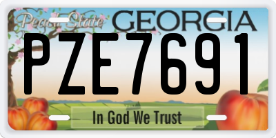GA license plate PZE7691