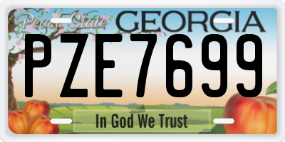 GA license plate PZE7699