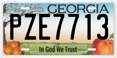 GA license plate PZE7713