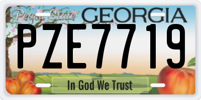 GA license plate PZE7719