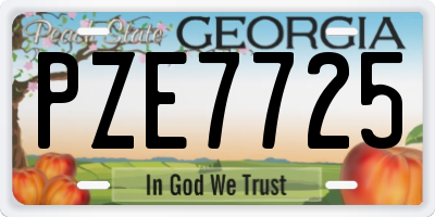 GA license plate PZE7725